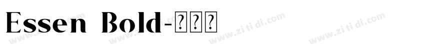Essen Bold字体转换